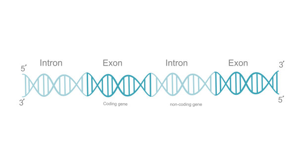 rna