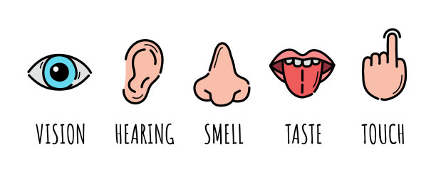 taste