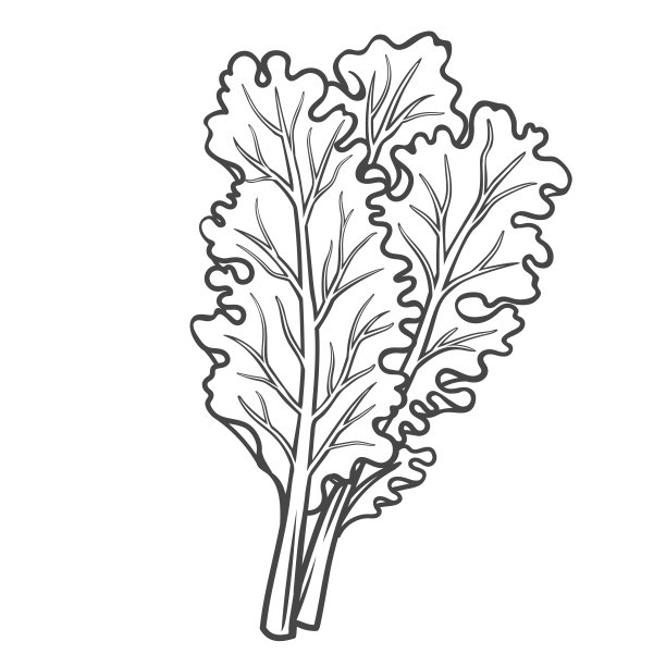 kale