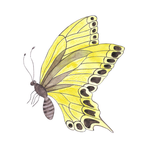 紫色蝴蝶婚礼效果图