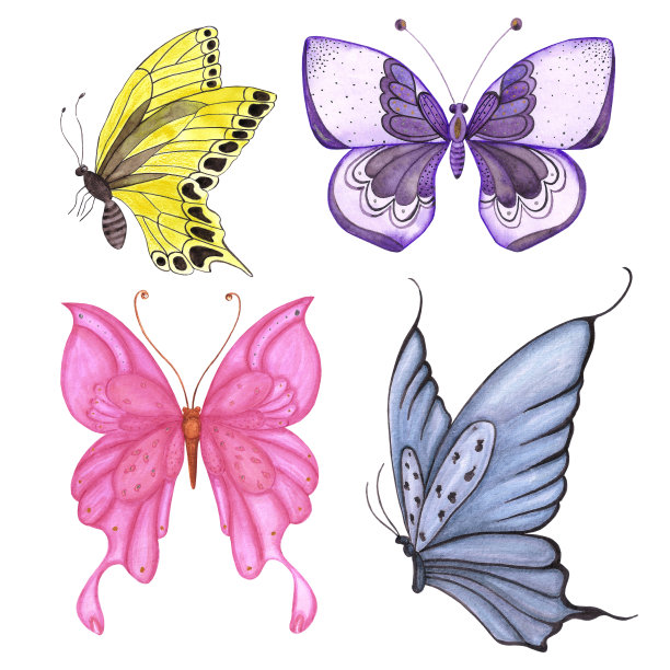 紫色蝴蝶婚礼效果图