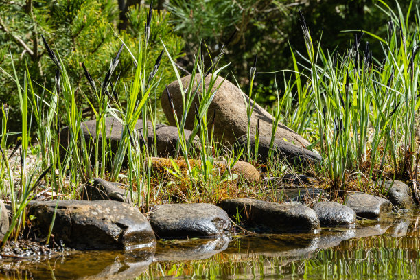 backwater