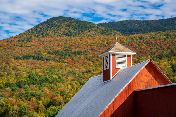 vt