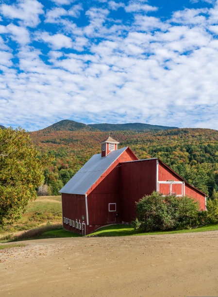 vt