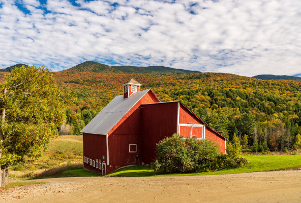 vt