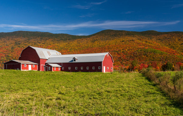 vt