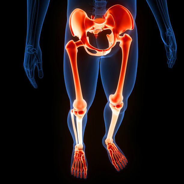 hip