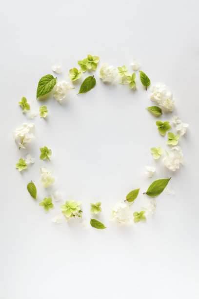 绿色精美圆形花纹图案