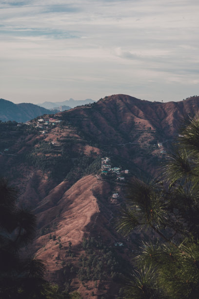 simla