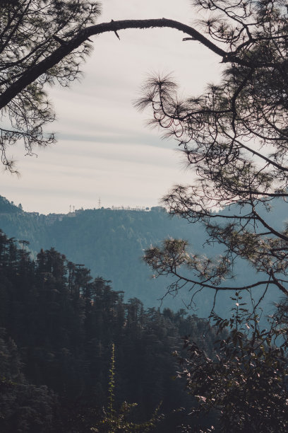 simla
