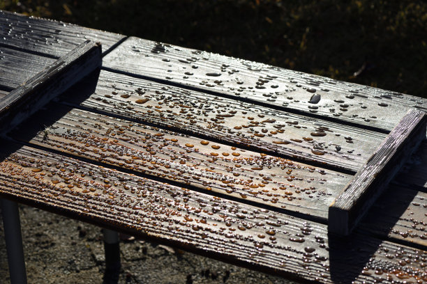 雨后公园长椅上的水珠