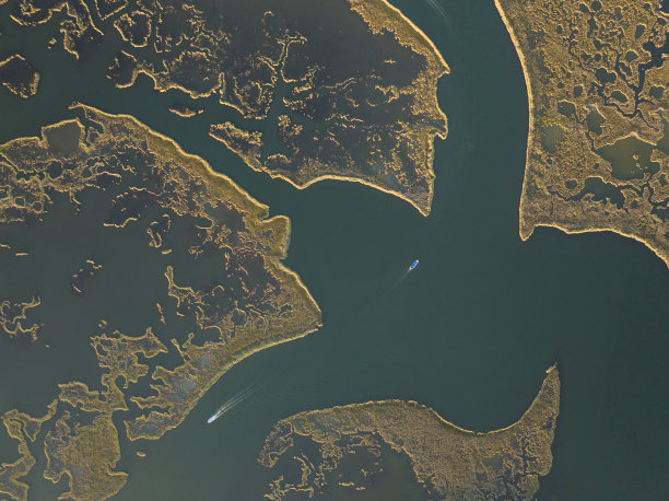 delta