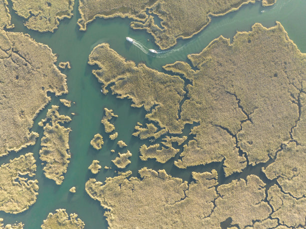 delta