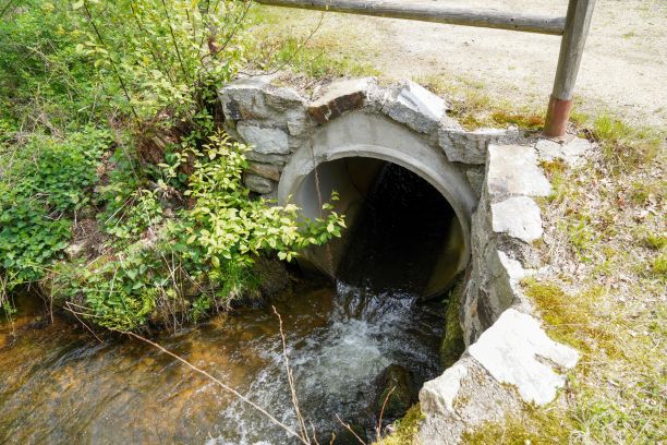 ditch