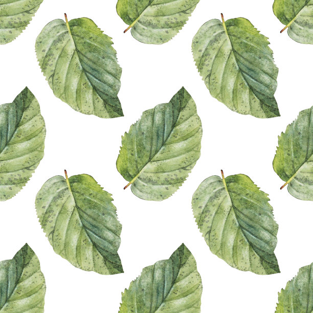 茶叶包装背景底图