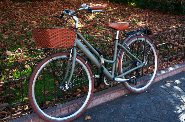 bicycle