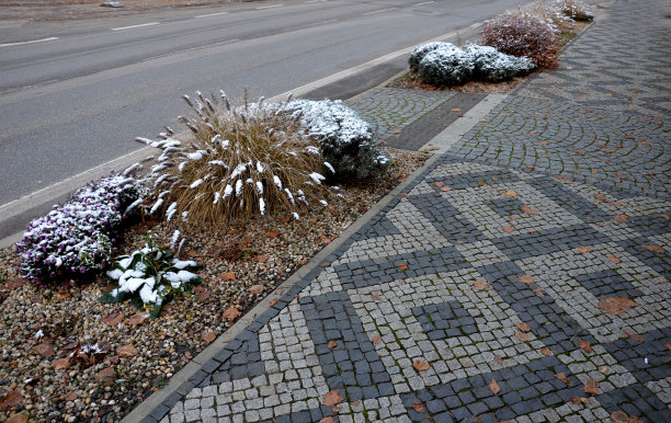 广场积雪草坪