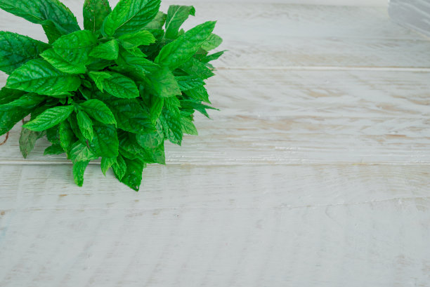 spearmint