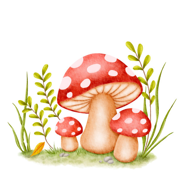 toadstool