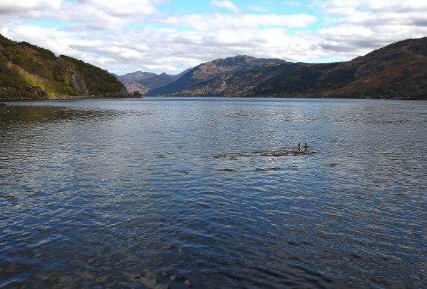 donan