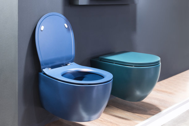 bidet