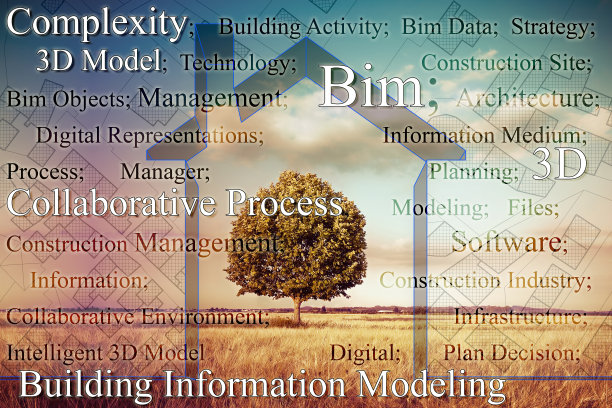 bim