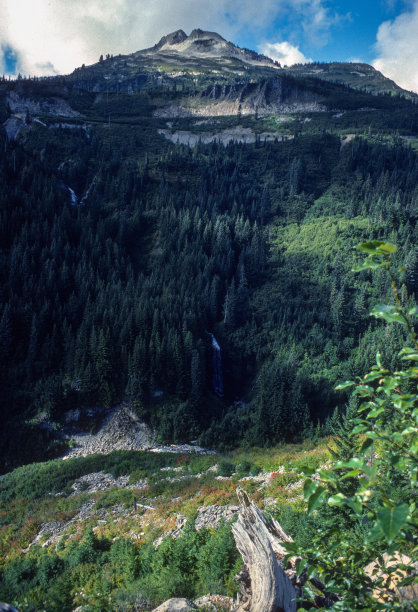 1979
