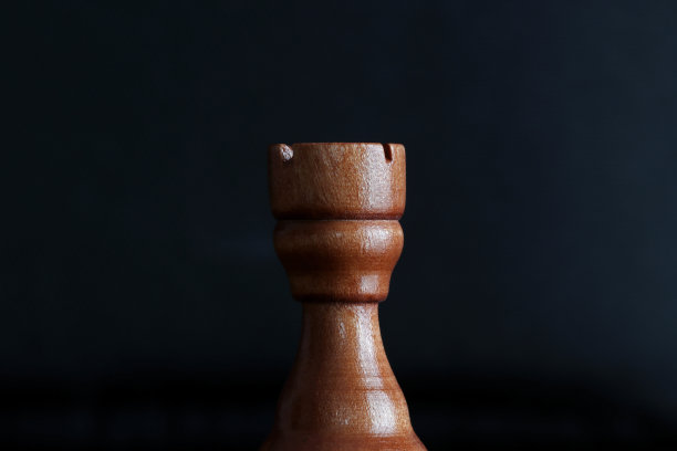 骑士,象棋女王,国际象棋