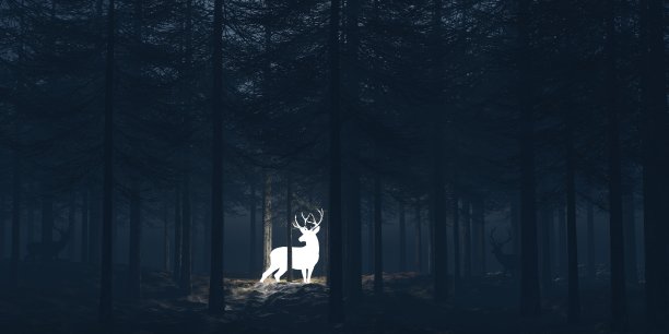 deer