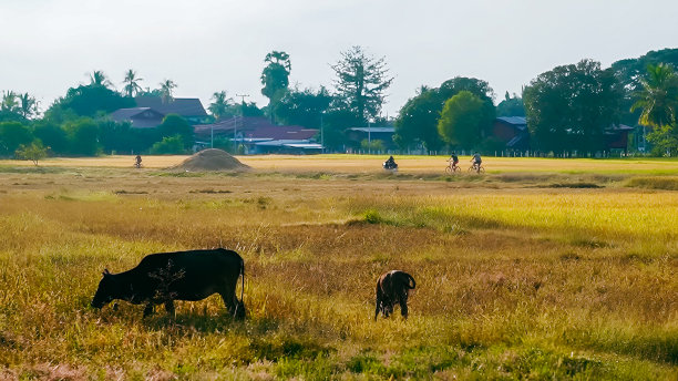 pakse
