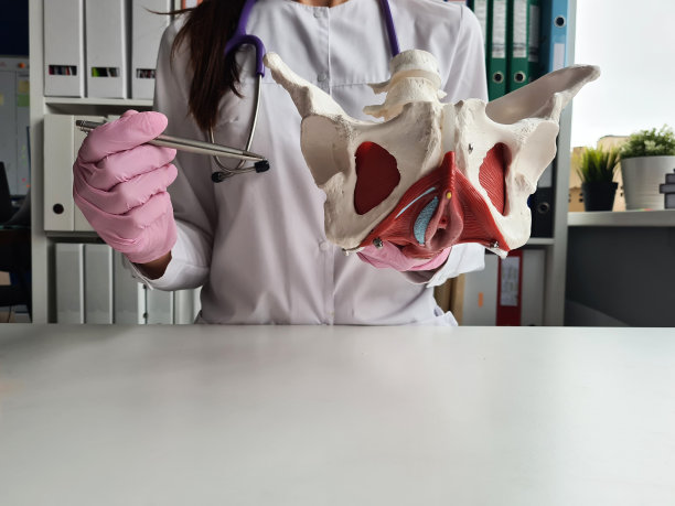 pelvis