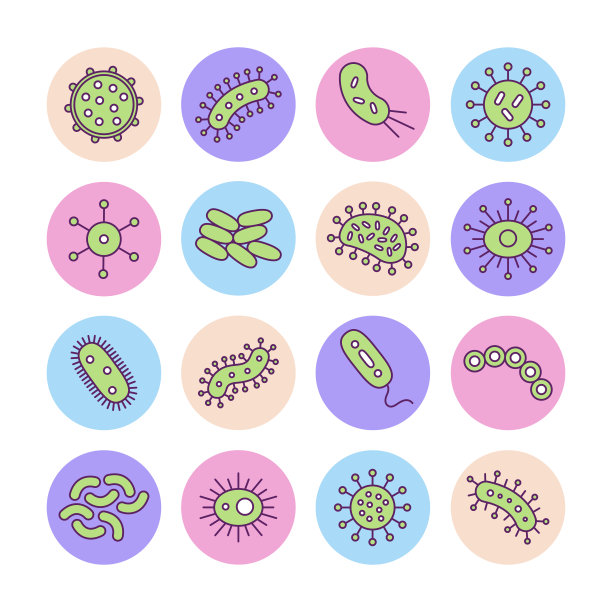 bacteria