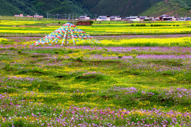 草原上藏族村落