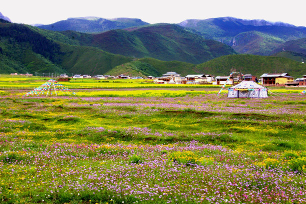 草原上藏族村落