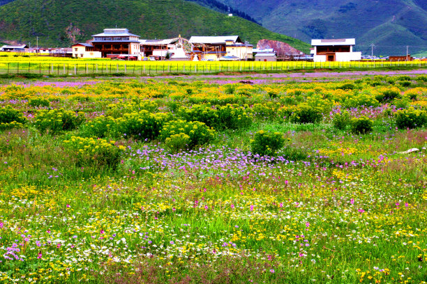 草原上藏族村落