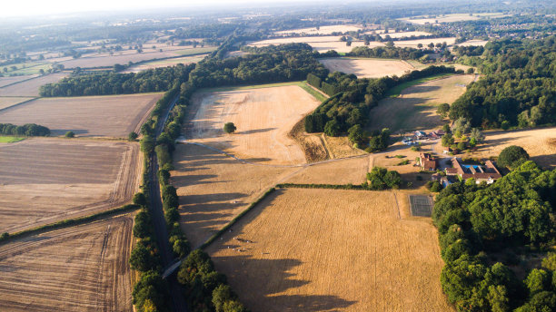 surrey
