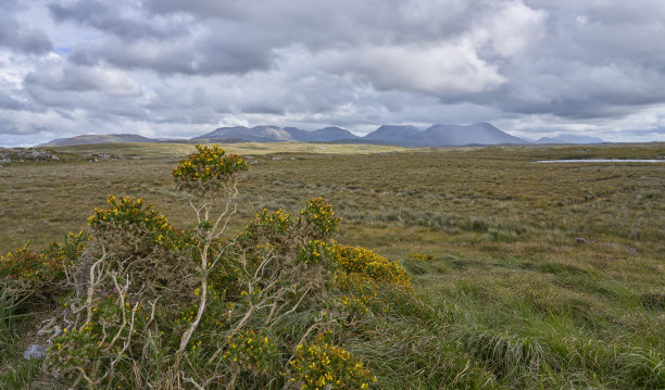 galway