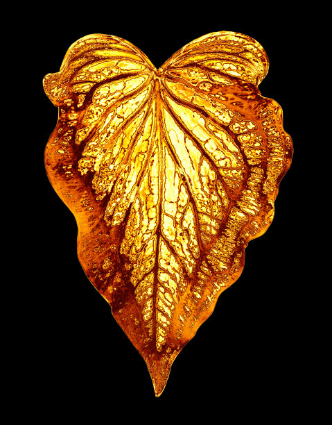 复古装饰品,红色和金色颜色