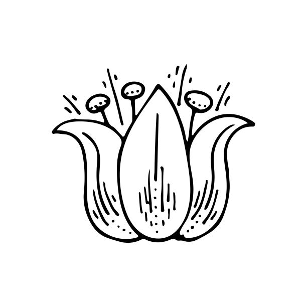buddhist