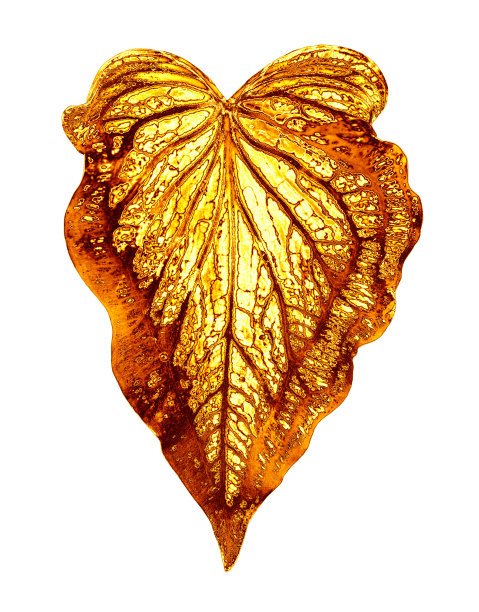 复古装饰品,红色和金色颜色