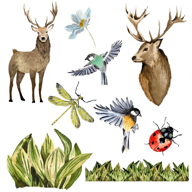 面料印花窗帘印花