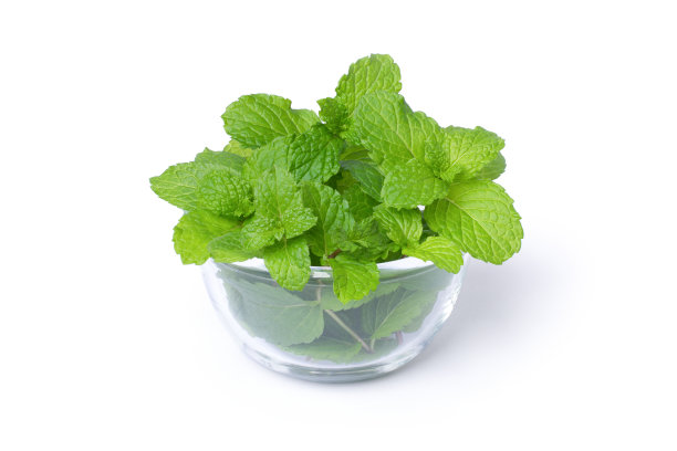 spearmint