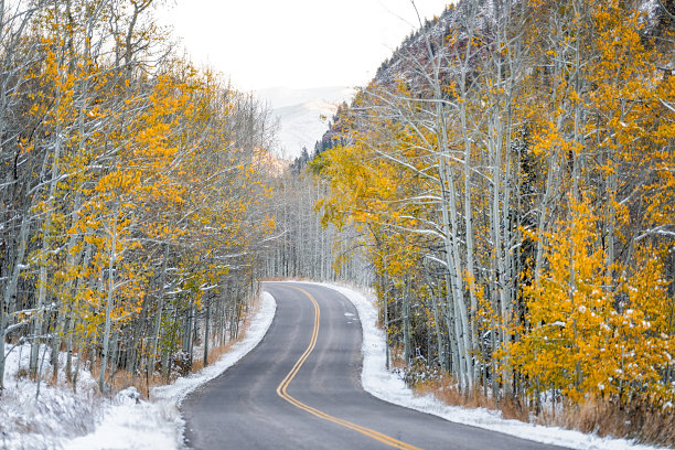 aspen