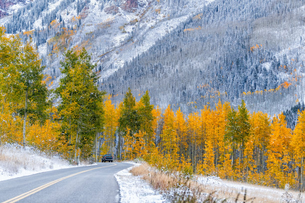 aspen