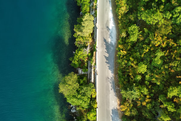 飞鸟蓝色大海壁纸