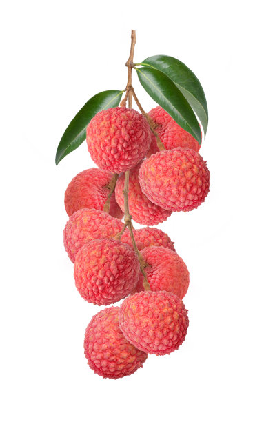 litchi