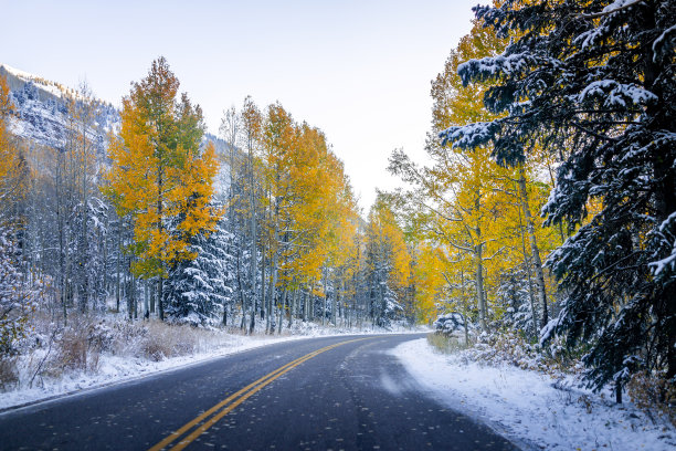 aspen