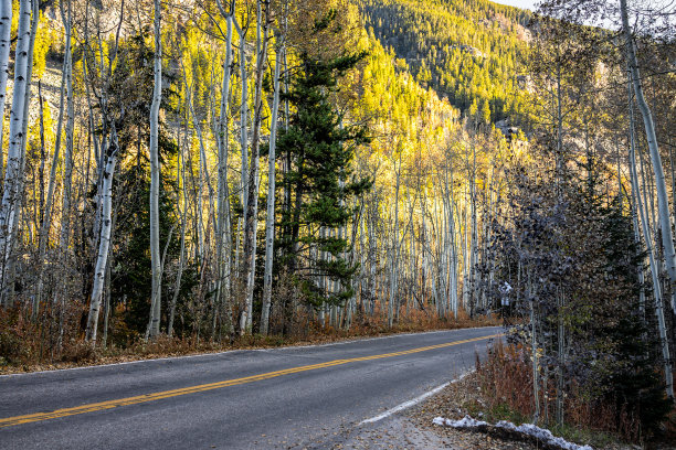 aspen