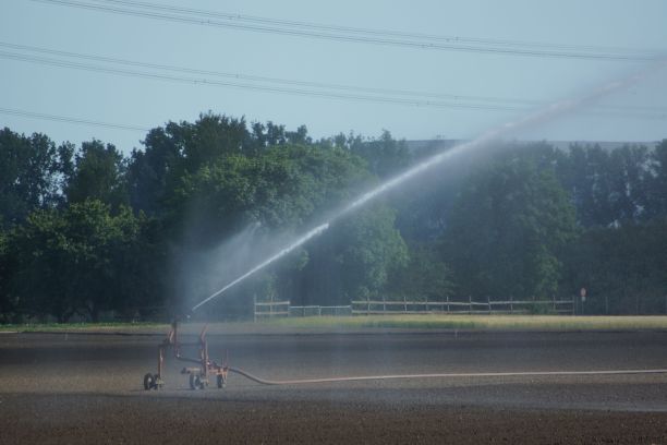 sprinkler
