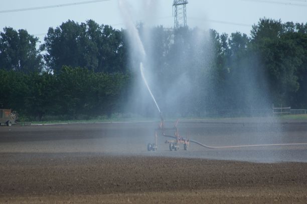 sprinkler